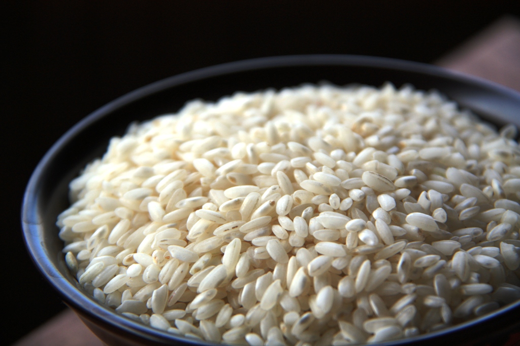 Grano_del_Arroz_Carnaroli