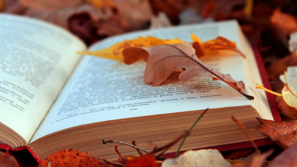 fallbookasylum