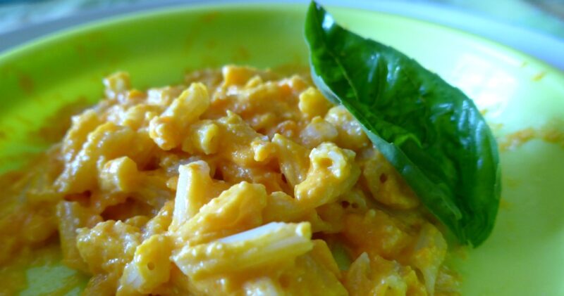 pennette-crema-carote-robiola