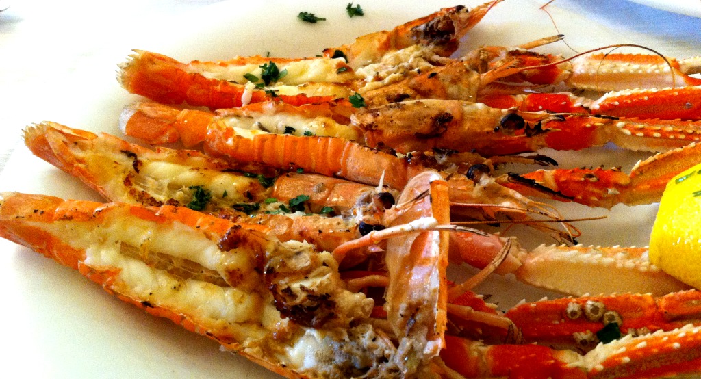 scampi