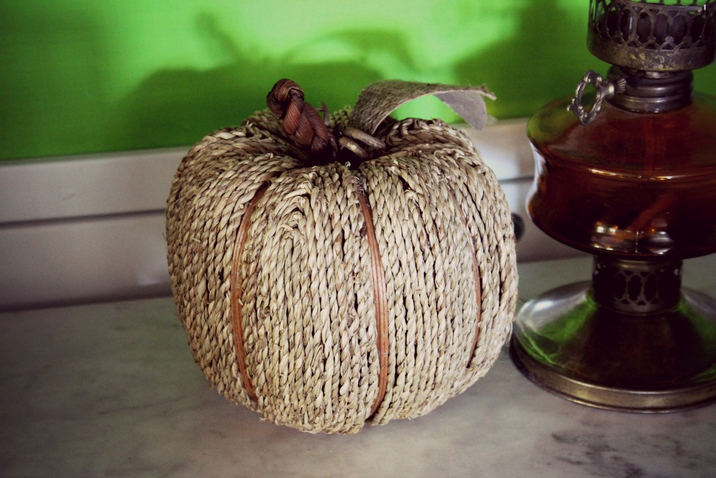 zuccacorda